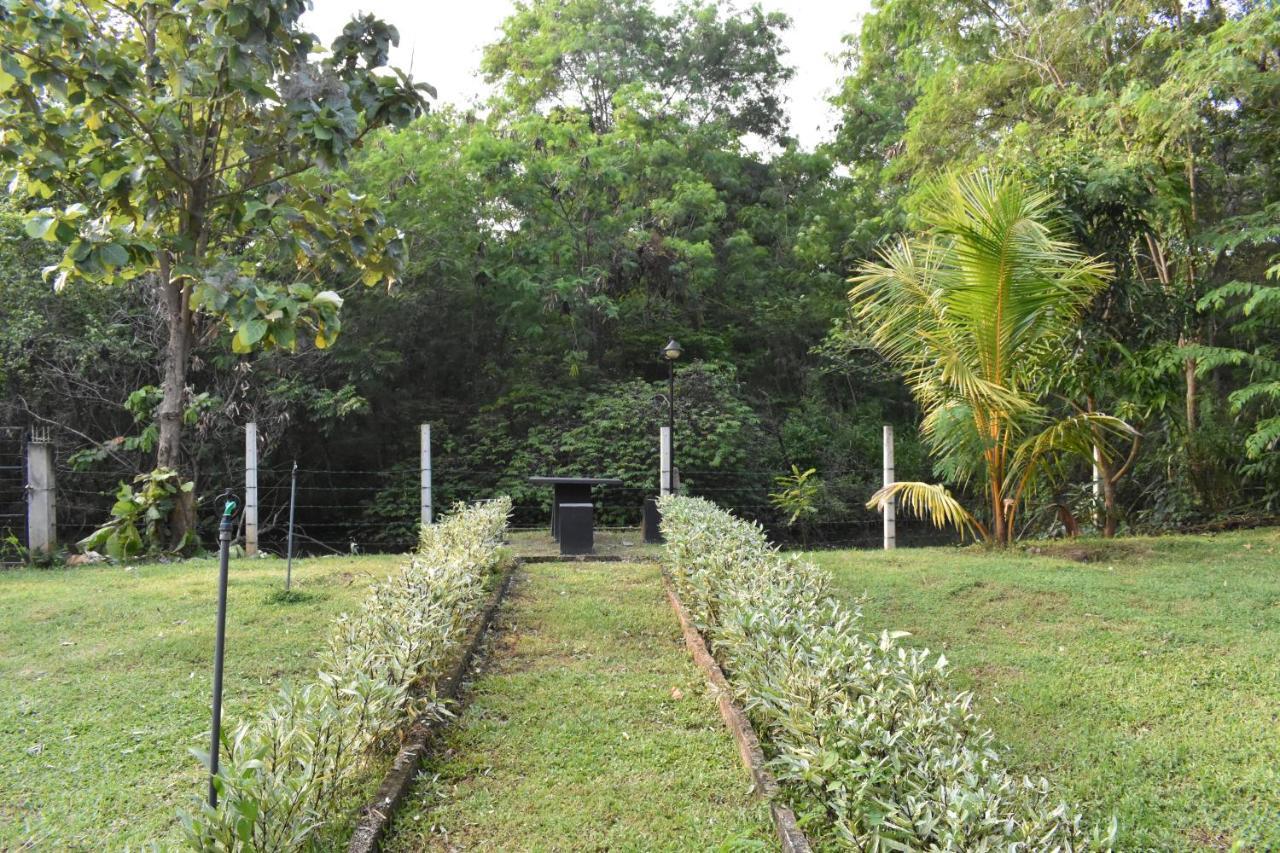 Nil Bawana Nature Resort Удавалаве Экстерьер фото