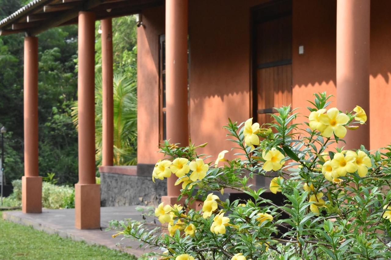 Nil Bawana Nature Resort Удавалаве Экстерьер фото