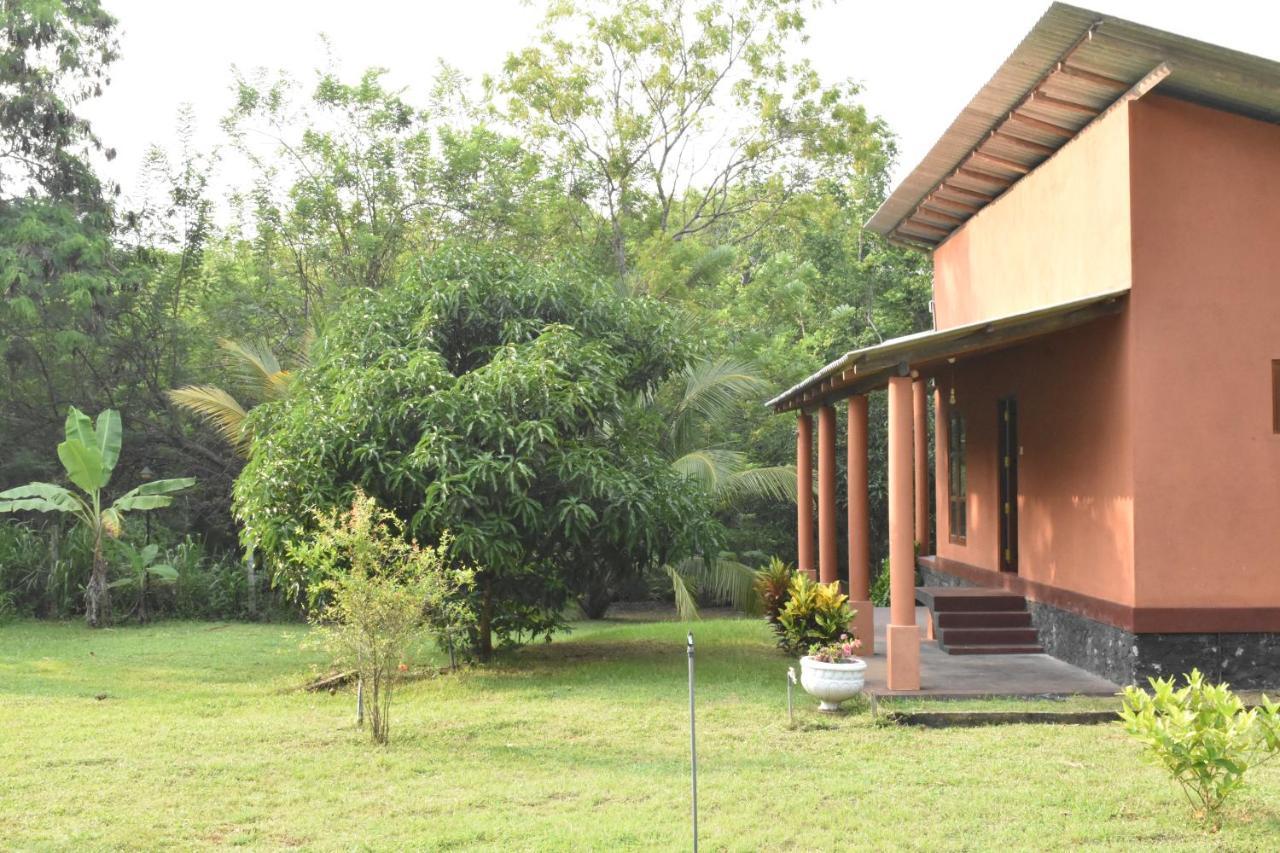 Nil Bawana Nature Resort Удавалаве Экстерьер фото