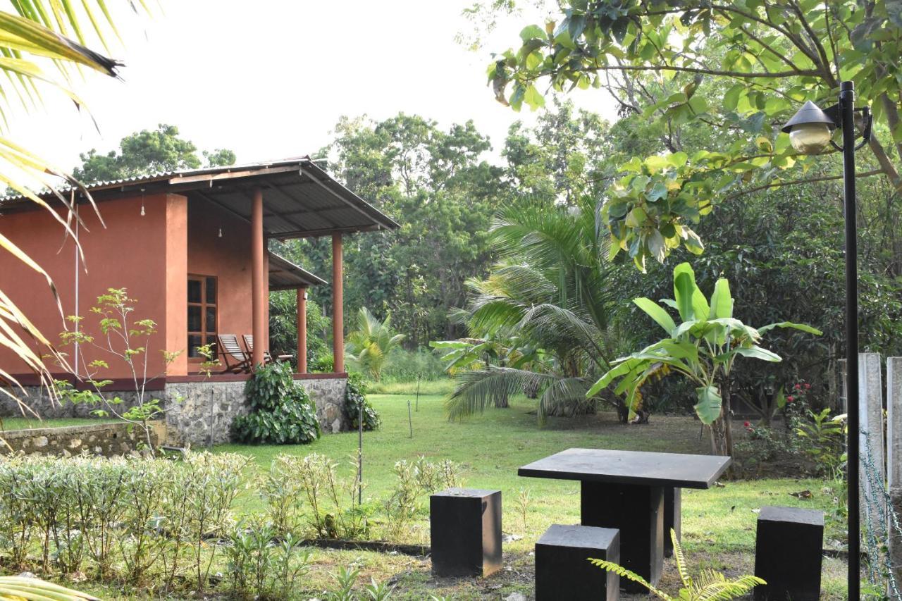 Nil Bawana Nature Resort Удавалаве Экстерьер фото